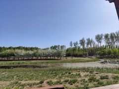 -东郊湿地公园