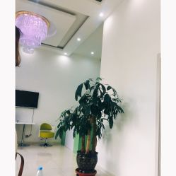 -荟草堂痘肌修护中心
