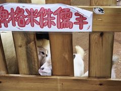 -正佳雨林生态植物园