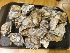 -开蚝屋