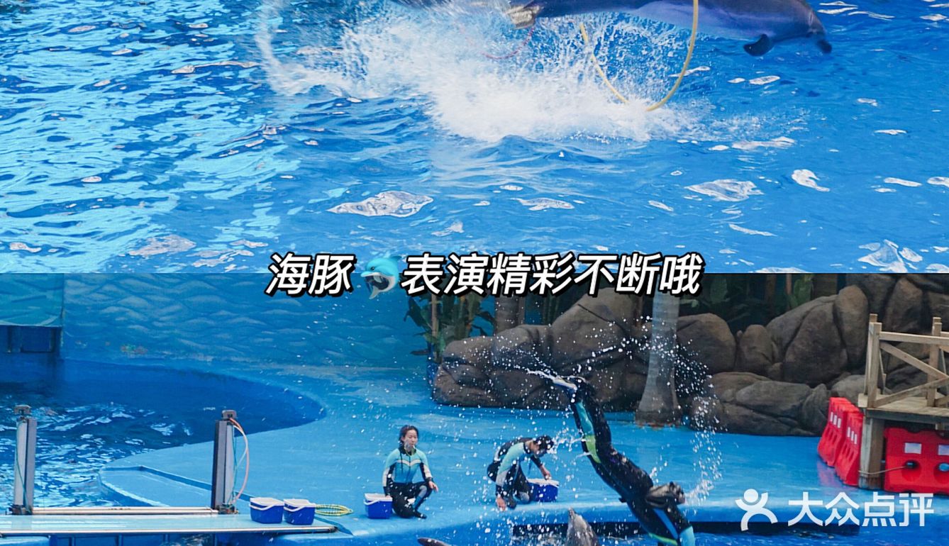 亲子｜成都海昌极地海洋公园不可错过的项目
