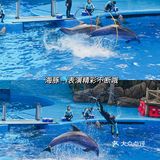 亲子｜成都海昌极地海洋公园不可错过的项目