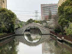 -高东镇樱花园
