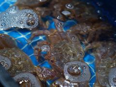 -吉友粥底火锅(方斜路店)