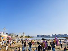 -九龙湖公园