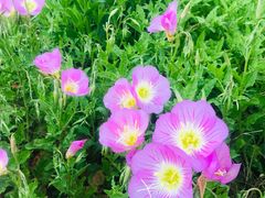 -白鹭湾湿地公园