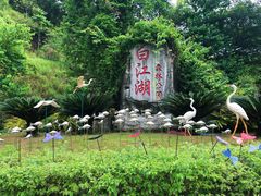 -广州白江湖森林公园