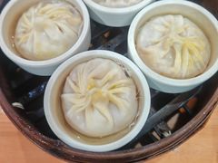 -莱莱小笼·乔艾