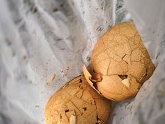 阿婆茶叶蛋-金盆阿嬷香菇茶叶蛋(玄光店)