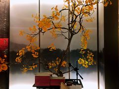 -京华烟云·北京烤鸭(领展购物广场·中关村店)