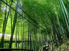 -藏龙百瀑风景区