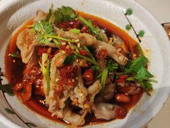 -付掌柜在成都·热炒砂锅集(金禾店)