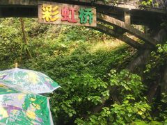 -青青世界