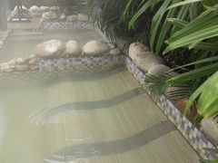 -三江森林温泉度假区