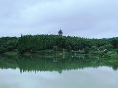 -宜兴龙背山森林公园