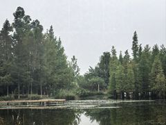 -白鹭湾湿地公园