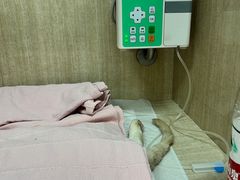 -北京观赏动物医院·24小时大型综合·猫专科·异宠专科
