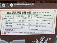 -西双版纳原始森林公园
