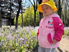 -长白岛森林公园