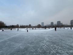 -群力丁香公园