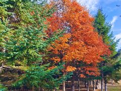 -长春世界雕塑园冰雪艺术天地