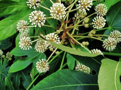 -杭州城北体育公园