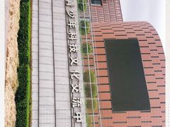 -中国宋庆龄青少年科技文化交流中心