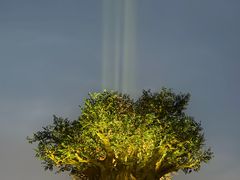 -武陟虹兴砂锅(普庆路店)