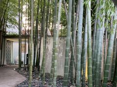 -穹六人间 people 6(岳阳路店)