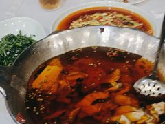 -沸腾鱼乡(知春路分店)