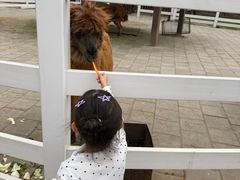 -哈尔滨北方森林动物园