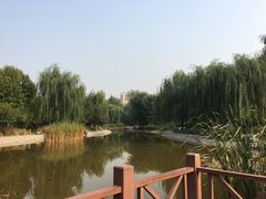 -丰台科技园生态主题公园