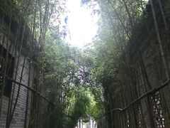 -龙潭水乡