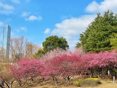 -白塘生态植物园