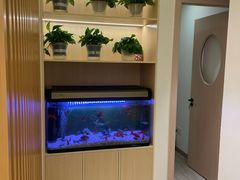 -智慧盲人按摩艾灸-颈肩腰膝疼痛调理(浦东店)