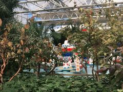 -南宫五洲植物乐园