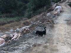 -炊烟餐厅