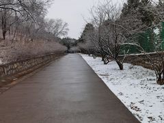 -北京西山国家森林公园