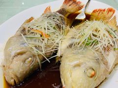 -北京兴基铂尔曼饭店
