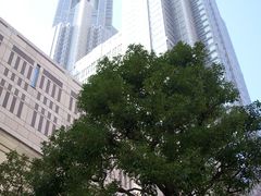 -东京都厅舍