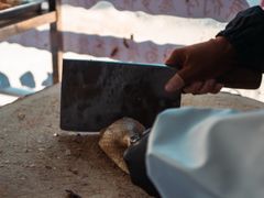 -正宗忘不了老鹅(梅岭店)