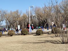 -太阳宫公园