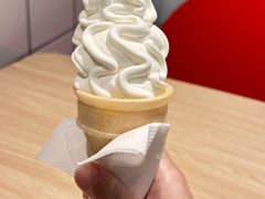 -麦当劳(红旗路店)