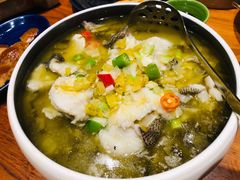 酸菜鱼-君悦酒店·1881·北京烤鸭