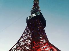 -东京塔海贼王主题公园
