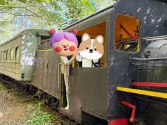 -五营红松林海景区