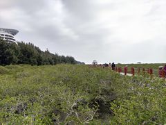 -北海金海湾红树林生态旅游区