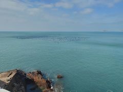 -魚當家