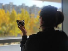 -麦当劳(启迪香山店)