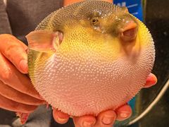 -永安鱼庄·镇江菜(东吴路店)